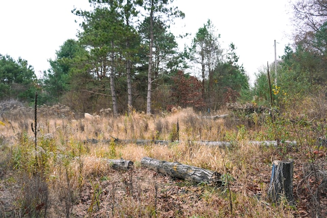 view of local wilderness
