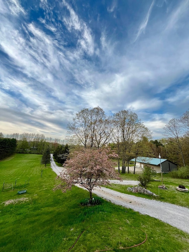 8555 11th Mile, Evart, MI 49631 - view of community with a lawn