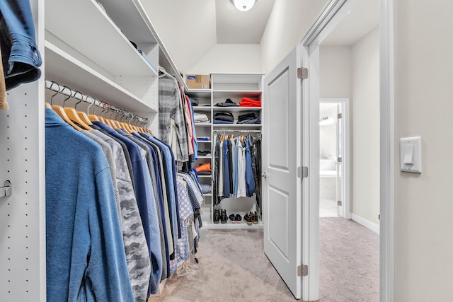 walk in closet with carpet flooring