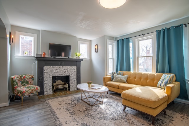 living room with a fireplace, baseboards, and wood finished floors