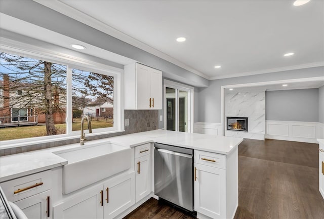 kitchen with a wainscoted wall, a fireplace, stainless steel dishwasher, dark wood-type flooring, and a sink