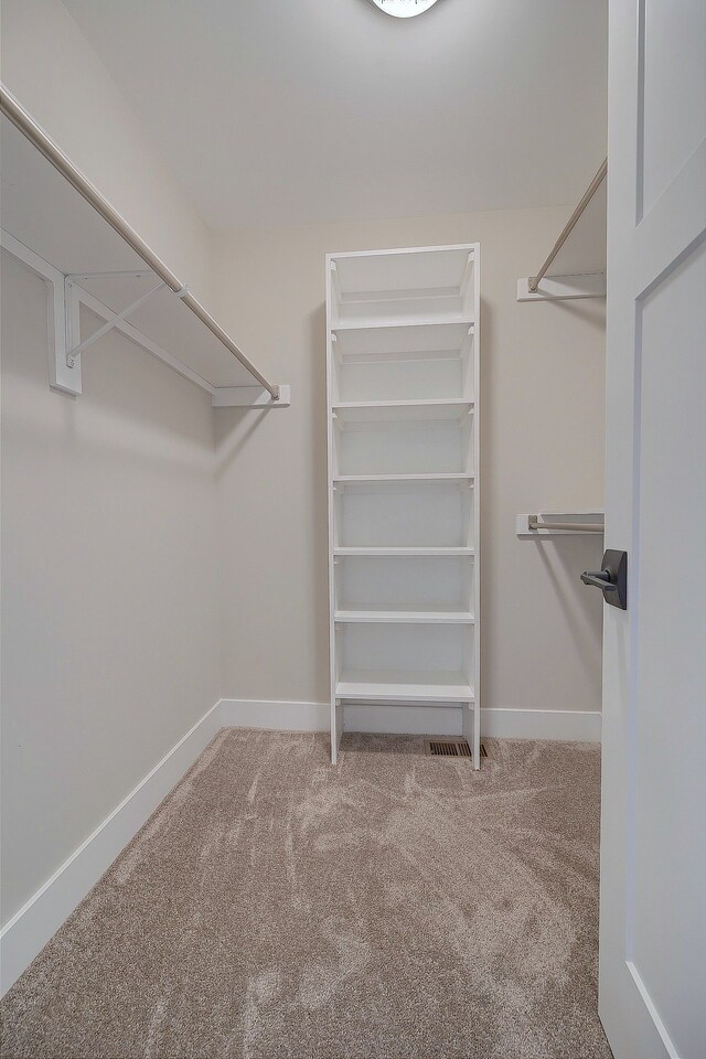 walk in closet with carpet flooring