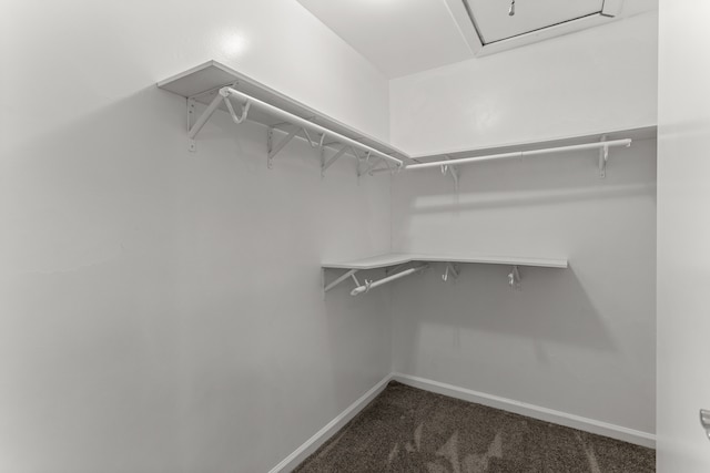 spacious closet featuring dark colored carpet