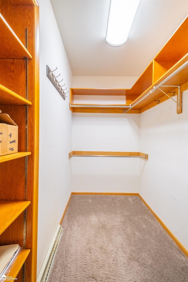 spacious closet featuring carpet flooring