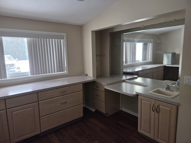 kitchen with lofted ceiling, light countertops, a sink, and dark wood finished floors