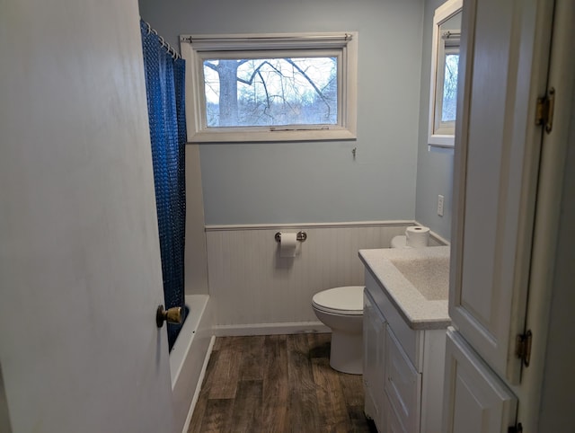 bathroom with toilet, vanity, wood finished floors, and wainscoting