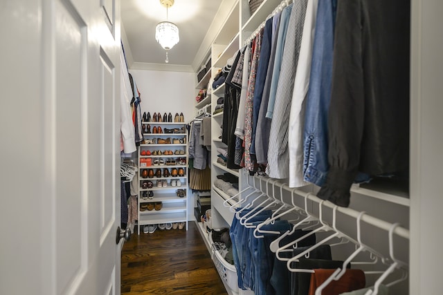 spacious closet featuring wood finished floors