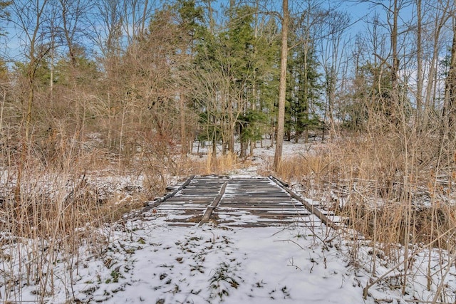 2509 E Blackmore Rd, Mayville, MI 48744 - photo 35