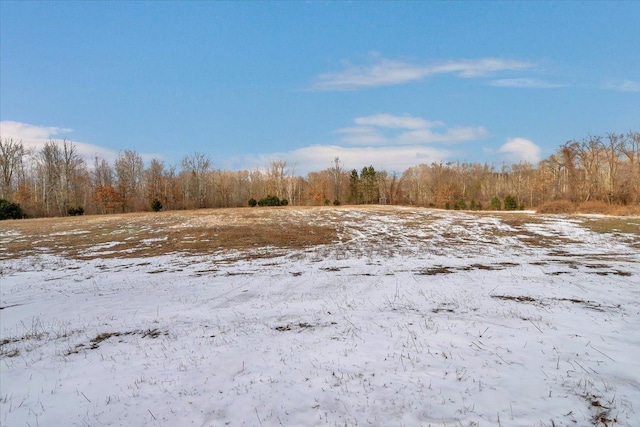 view of snow covered land featuring a forest view