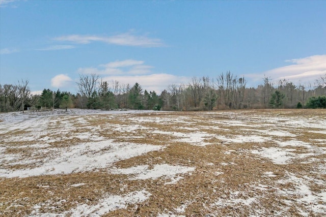 view of yard featuring a view of trees