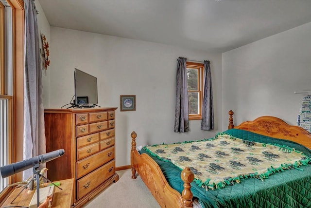 2509 E Blackmore Rd, Mayville, MI 48744 - photo 62