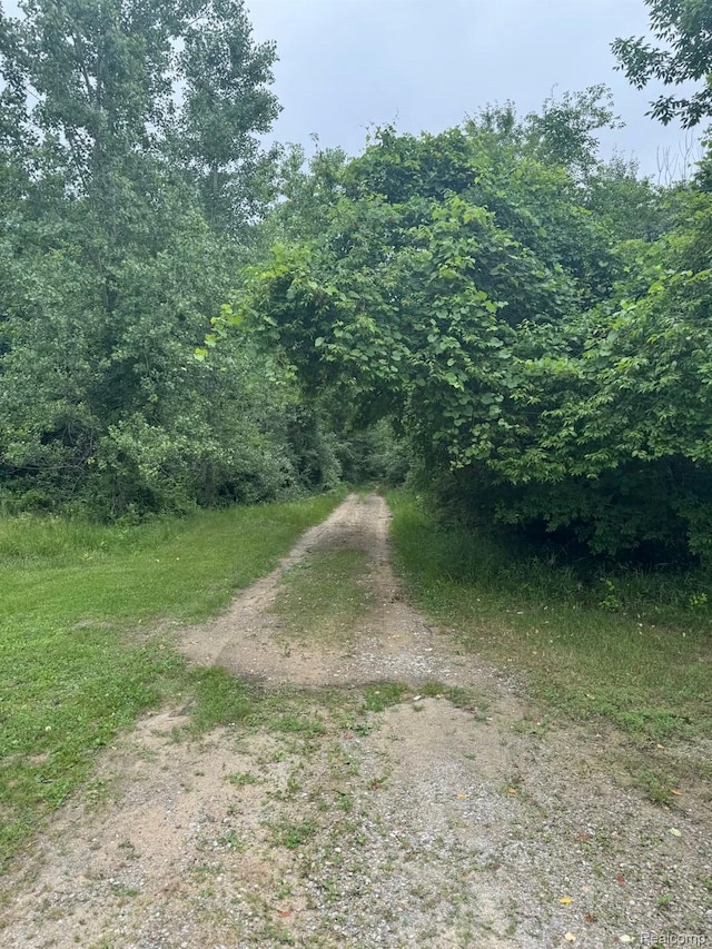 2509 E Blackmore Rd, Mayville, MI 48744 - photo 7