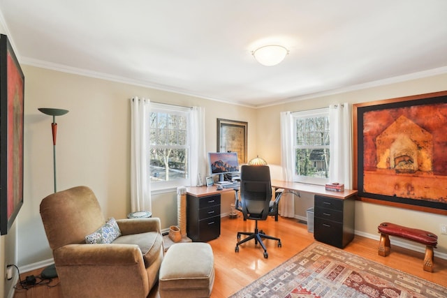 office featuring light wood-style floors, baseboards, and crown molding