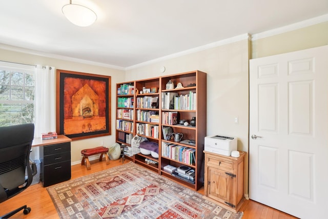 office area featuring light wood-style flooring and crown molding