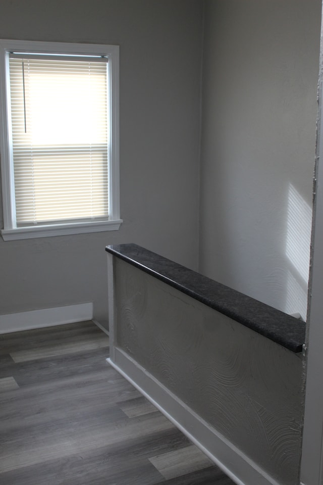 details with baseboards and wood finished floors