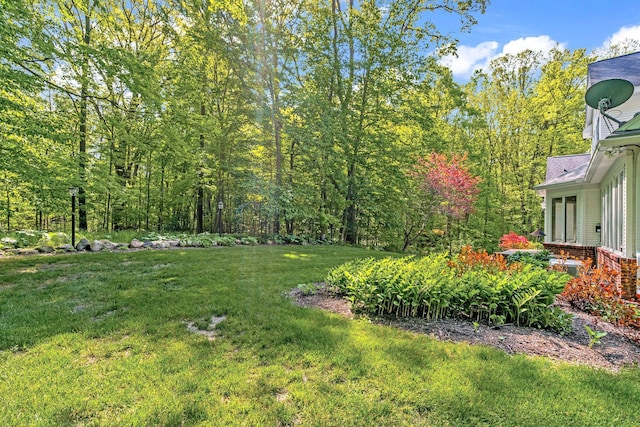 view of yard featuring a view of trees