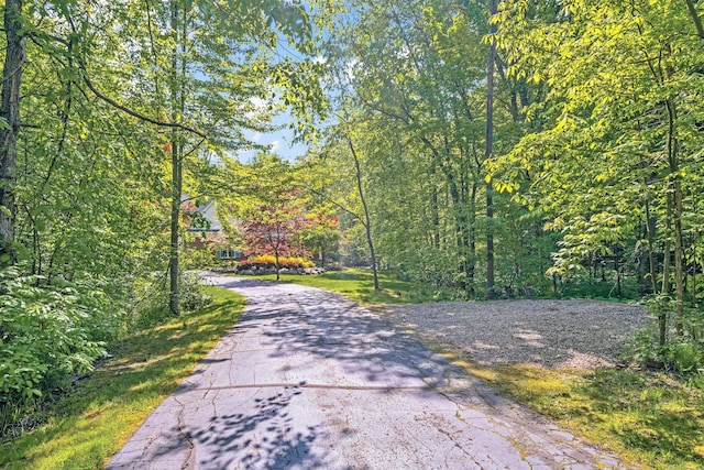 view of road featuring a view of trees