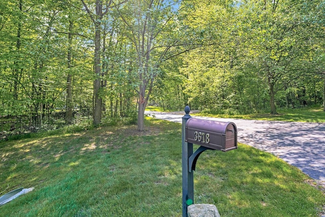 view of road featuring a view of trees