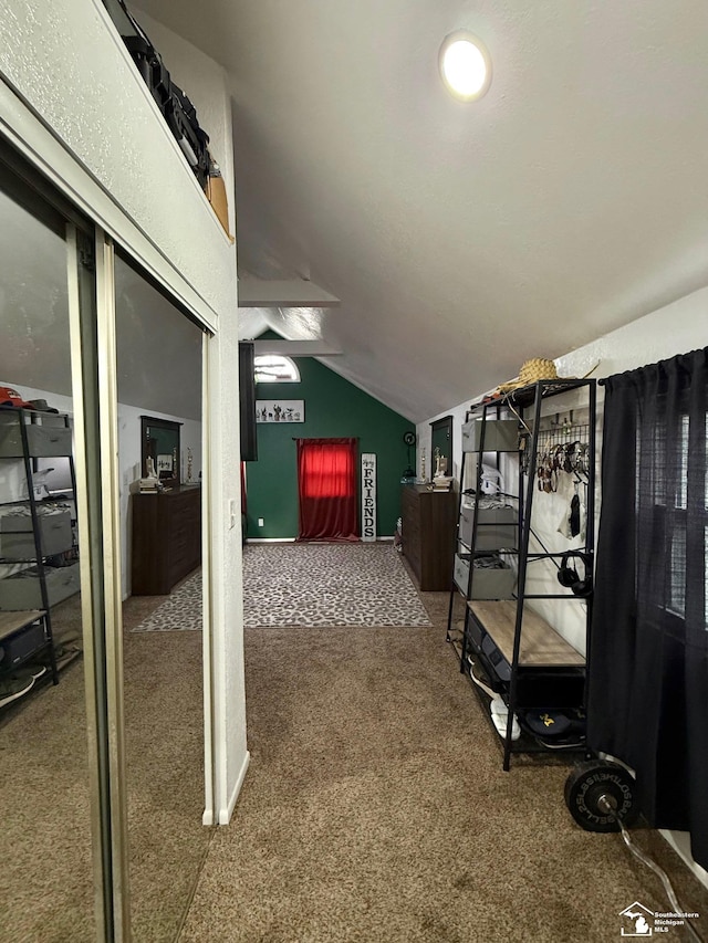 interior space featuring carpet and vaulted ceiling