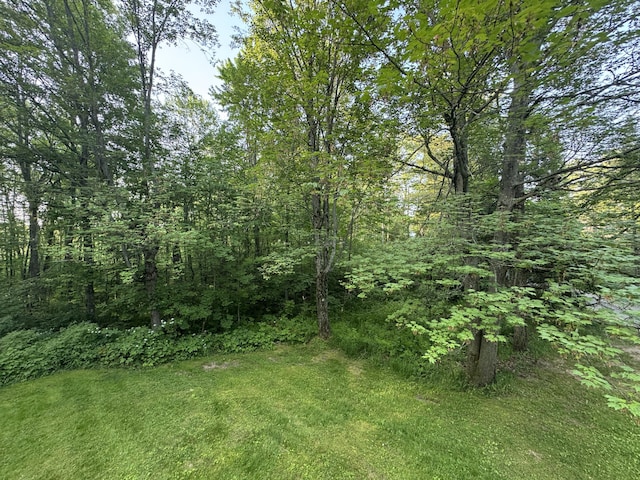 19084 200th Ave, Tustin, MI 49688 - view of wooded area