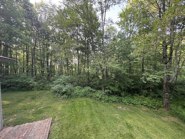19084 200th Ave, Tustin, MI 49688 - view of green lawn