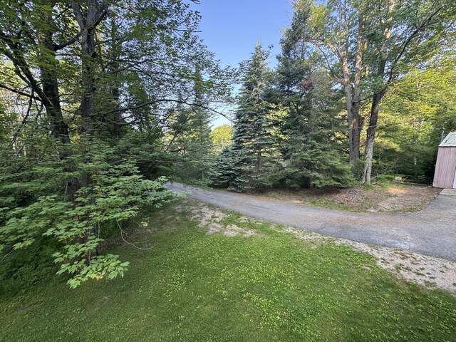 19084 200th Ave, Tustin, MI 49688 - view of street featuring a view of trees
