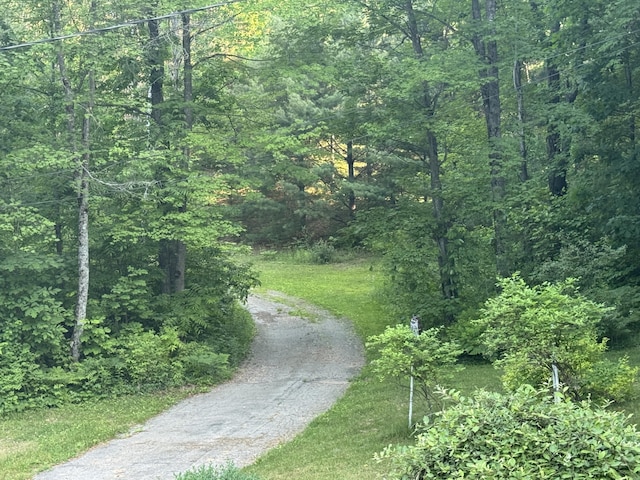 19084 200th Ave, Tustin, MI 49688 - view of road featuring a view of trees