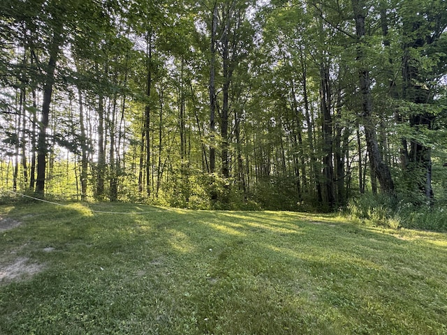 19084 200th Ave, Tustin, MI 49688 - view of green lawn
