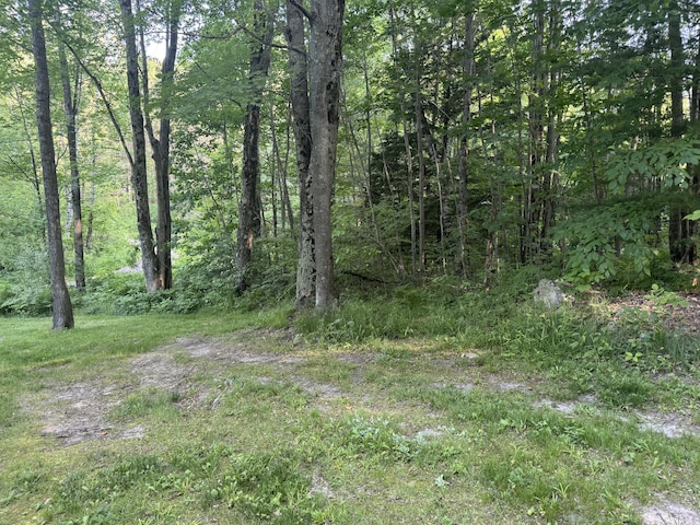 19084 200th Ave, Tustin, MI 49688 - view of woods