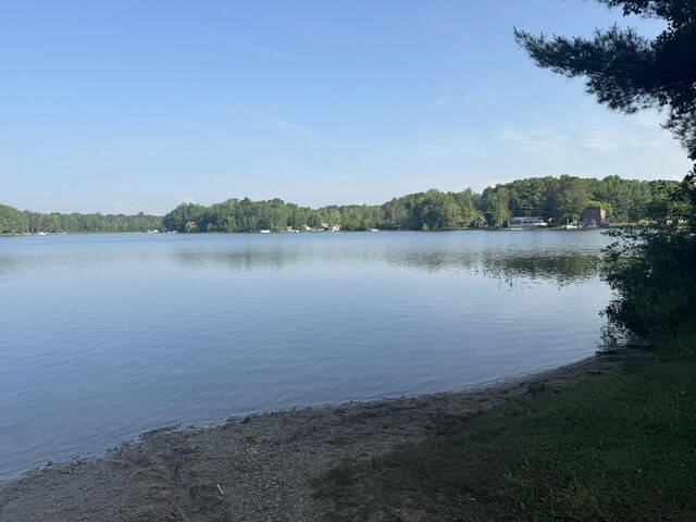 19084 200th Ave, Tustin, MI 49688 - water view with a forest
