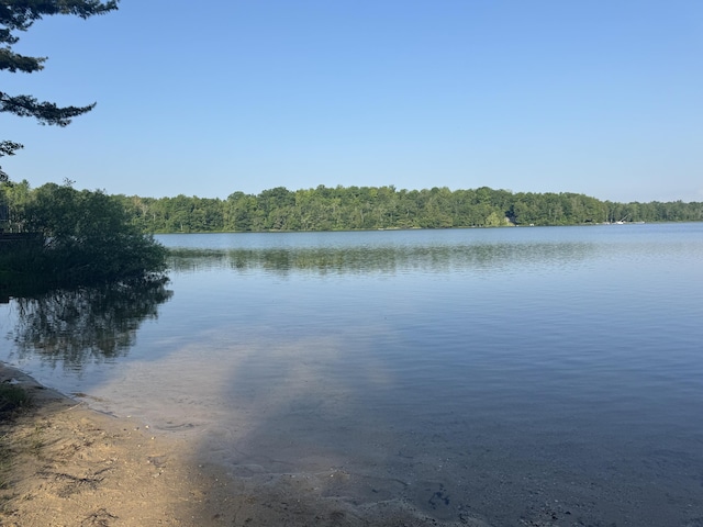 19084 200th Ave, Tustin, MI 49688 - water view featuring a heavily wooded area