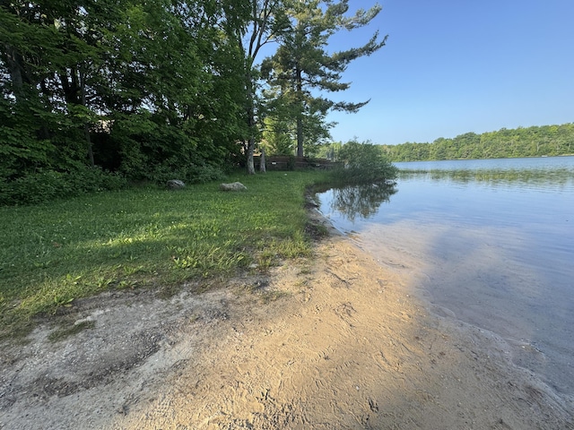 19084 200th Ave, Tustin, MI 49688 - water view featuring a heavily wooded area