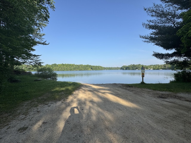 19084 200th Ave, Tustin, MI 49688 - water view