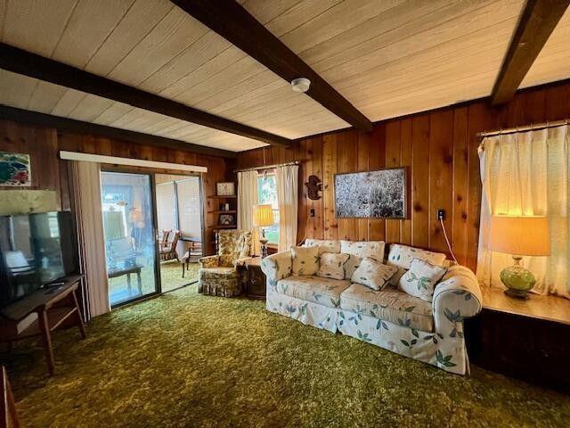 9137 N Lake Shore Dr, Grayling, MI 49738