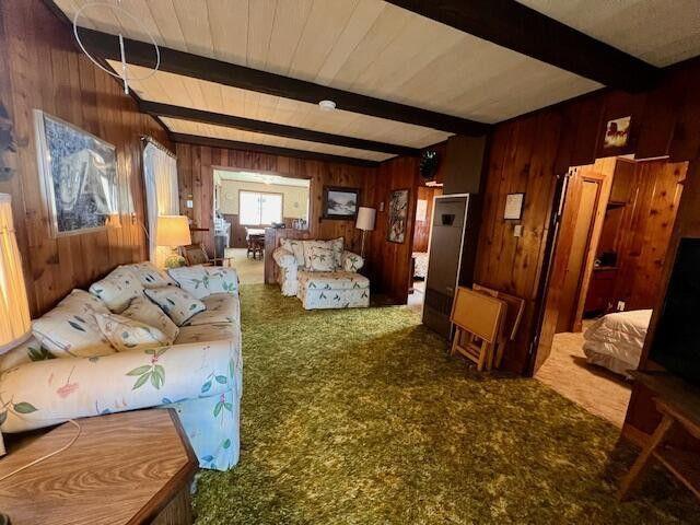 9137 N Lake Shore Dr, Grayling, MI 49738