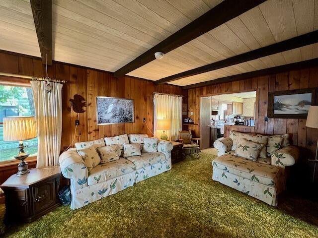 9137 N Lake Shore Dr, Grayling, MI 49738