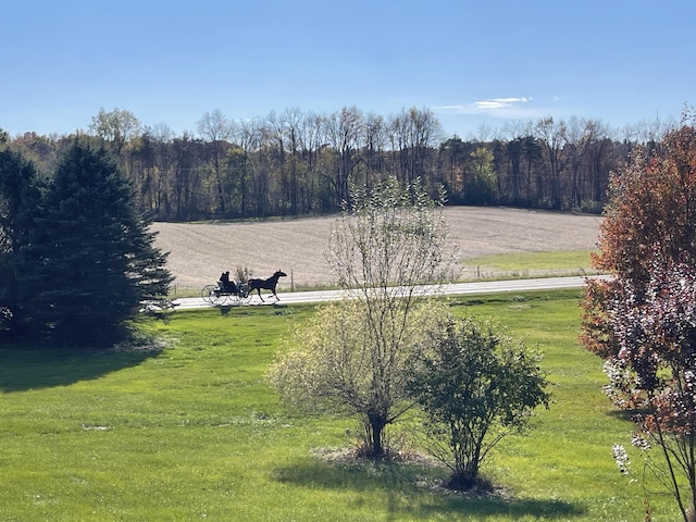 view of yard featuring a rural view and a wooded view