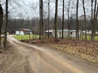 view of street featuring driveway and a forest view