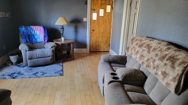 living room featuring baseboards and hardwood / wood-style floors