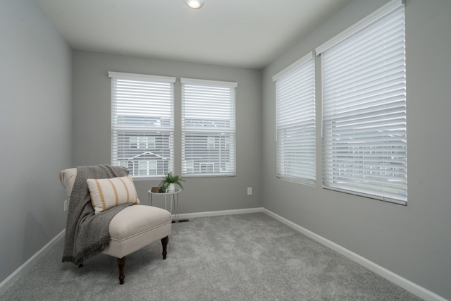 sitting room featuring carpet and baseboards