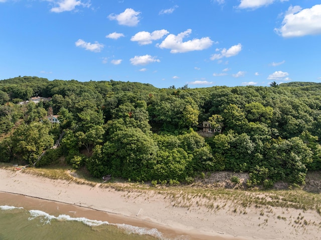 view of nature with a forest view