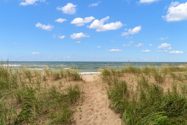 water view featuring a beach view