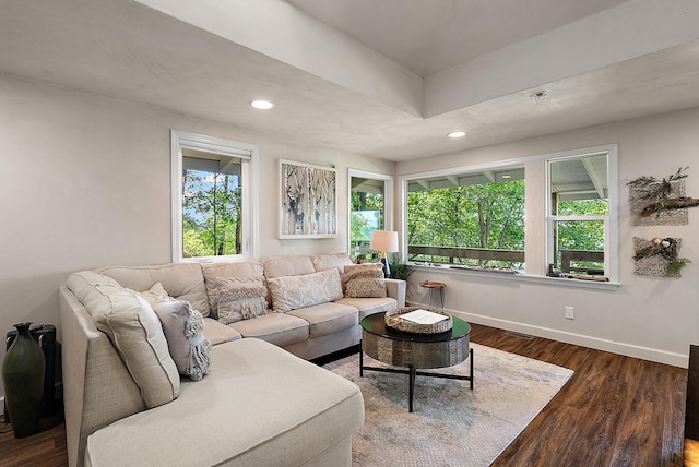 living room with a wealth of natural light, baseboards, wood finished floors, and recessed lighting