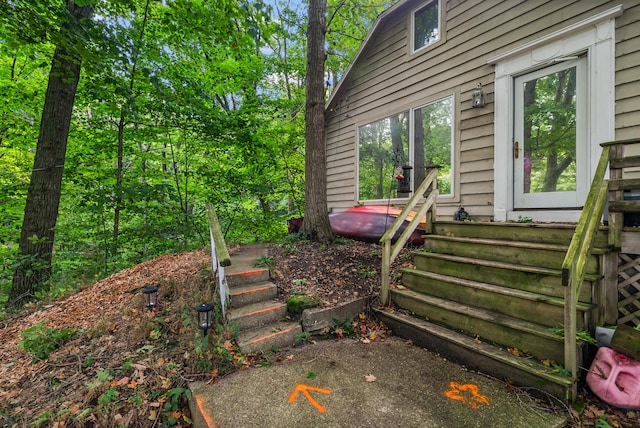 view of yard featuring entry steps