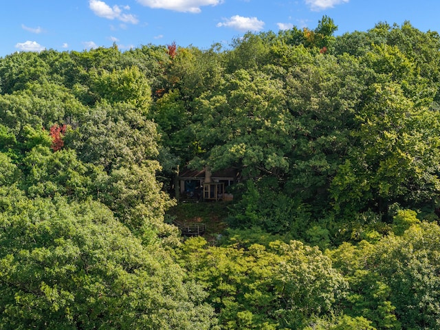 view of nature with a forest view