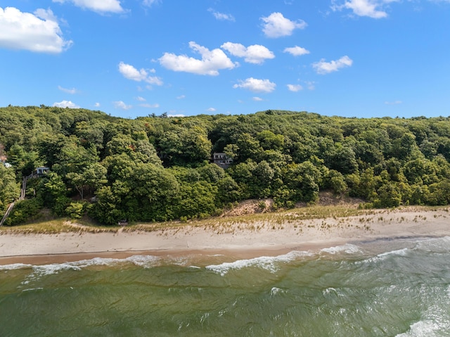 view of local wilderness featuring a forest view, a beach view, and a water view