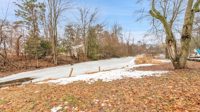 view of yard layered in snow