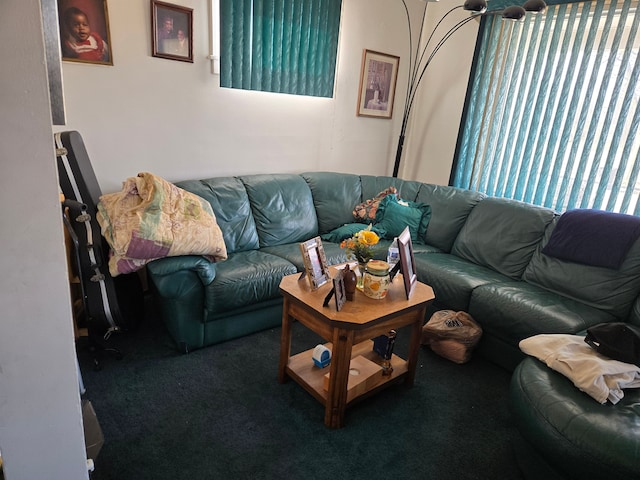 view of carpeted living area