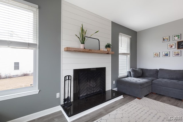 living area featuring a large fireplace, plenty of natural light, baseboards, and wood finished floors