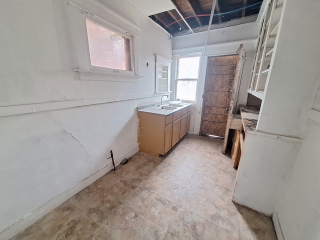 137 Elmhurst St, Highland Park, MI 48203 - kitchen with light countertops and a sink